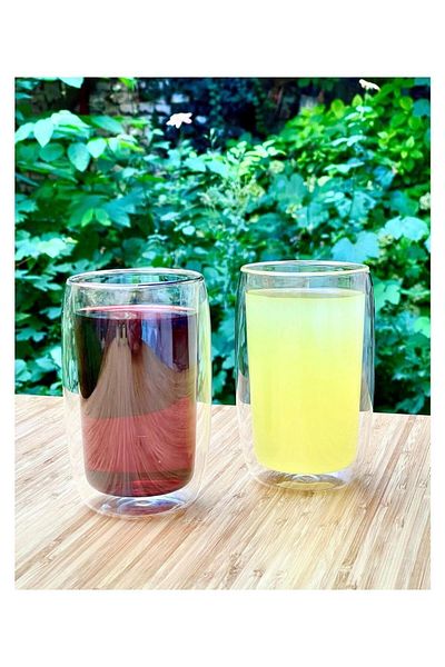 AROW Luxury Borosilicate 2-Piece Walled Glass Large Cup 300 Cc