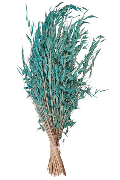 Dekora Çiçek Kuru Çiçek Avena Süslük, Vazoluk, Hediyelik