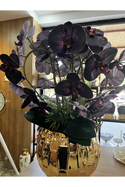 Home SAKSILI MOR ORKİDE ÇİÇEK