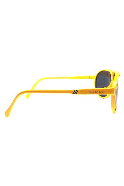 Falcon F2023 C15 60/19 Model SunGlasses