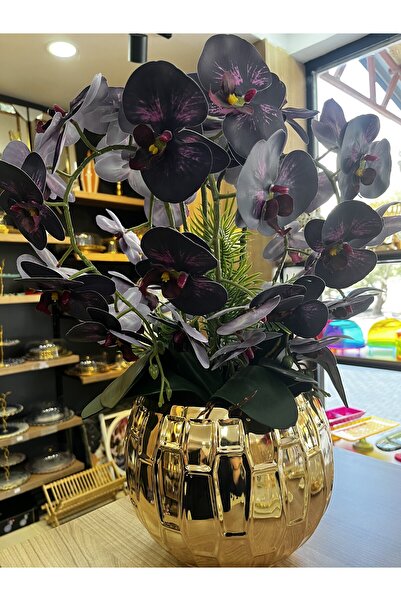 Home SAKSILI MOR ORKİDE ÇİÇEK