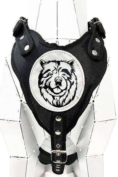 Tasma Market Chow Chow Chinese Lion Black Dog - Chest and Waist Collar