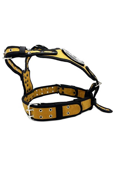 Tasma Market Mustard Chow Chow Chinese Lion Dog Chest Collar Waist Collar