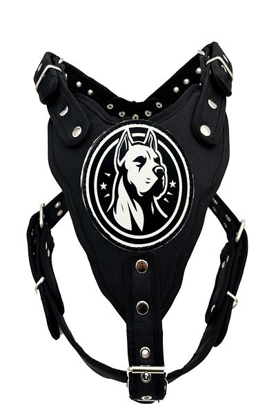 Tasma Market Premium BlacK DoGo ArGentino DoG Collar - Chest and Waist