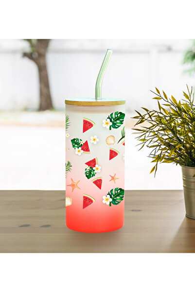 Trendmiya Frosted Glass Cup with Straw