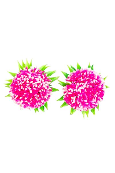 Ans AKVARYUM SÜS BİTKİSİ 2 ADET