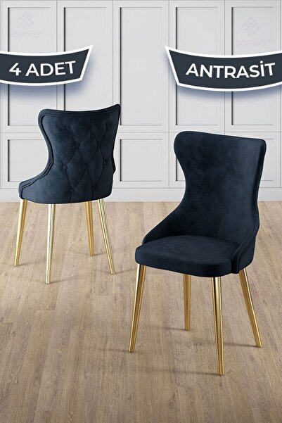 Canisa Alpa Serisi 4 Adet Antrasit Mutfak Sandalyesi Gold Kaplama Metal Ayak ...
