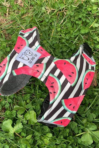Oli and Lui Dog Collar - Watermelon Pattern