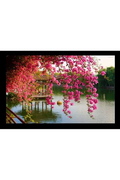 Elmas Dizayn SPECIAL PRODUCTION 3D DIGITAL PRINTING PINK BROWN FLOWER 140 CM * 240 DOUBLE WING 2 PIECES PHONE CURTAIN