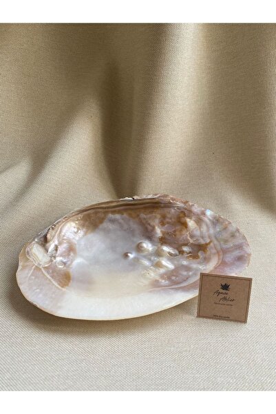 Agave Atelier Istridye Kabuğu Incili Makabe Deniz Kabuğu