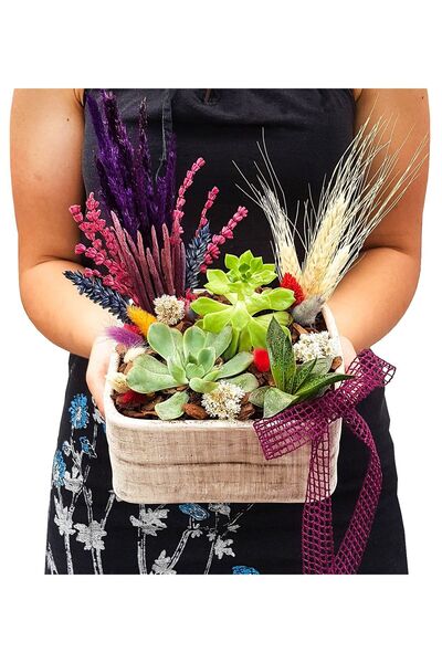 çiçekseli Piacevole Sukulent Aranjman & Kare Beton Saksıda Canlı İç Mekan Bit...