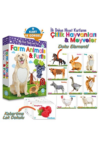 Circle Toys Touch Feel Farm Animals And Fruits