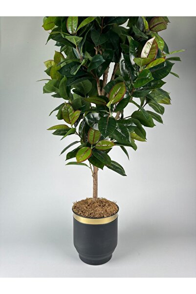 odka Yapay Bitki Kauçuk 210cm Metal Saksılı Antrasit Gold