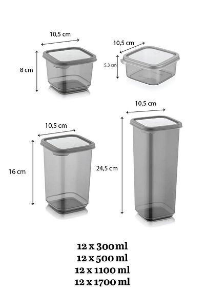 Meleni Home 48 Piece Dowry Set - Labeled Square Food Storage Container Breakfast Snack Bowl Spice Bowl Pulses Container