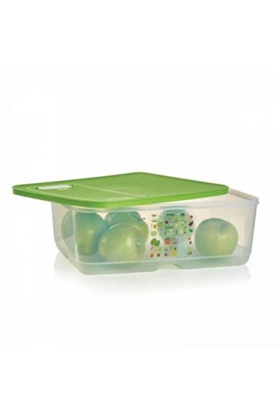 Tupperware Greenhouse 9.9 Lt