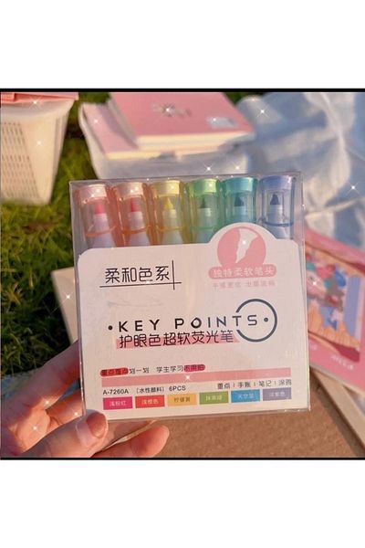 NaSaDAN 6 Pastel Colored Highlighters