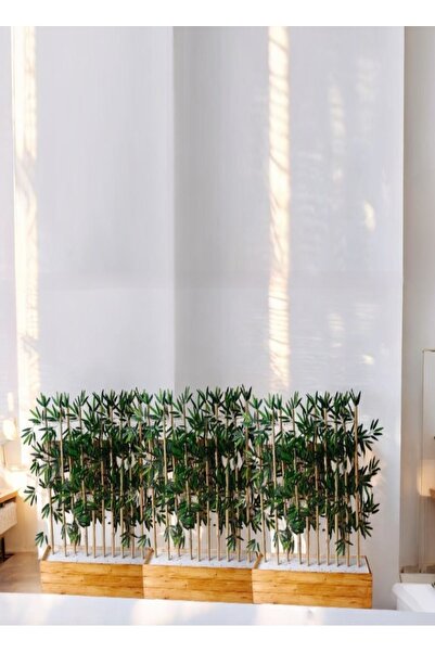 ERHAN FLOWERS ÇİÇEK & DEKORASYON 200 cm Ahşap Saksıda 200 cm 30 Adet Yapay Bambu Seperatör