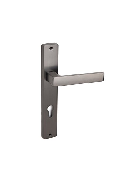 System Fosıl Füme Aynalı Kapı Kolu Oda Tipi