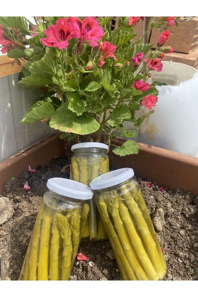 Aydın Enginar Köy Ürünleri KUŞKONMAZ KONSERVESİ