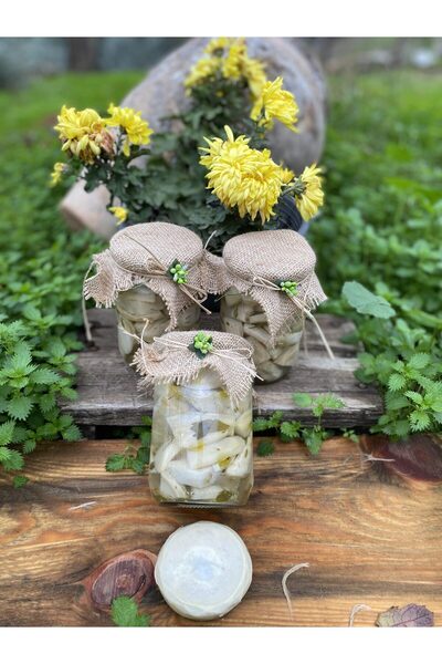 Aydın Enginar Köy Ürünleri Marine Çanak Enginar Turşusu