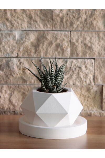 stonnish Geometrik Sukulent Saksısı, 12 Cm Tabaklı Set, Dekoratif Ham Beyaz