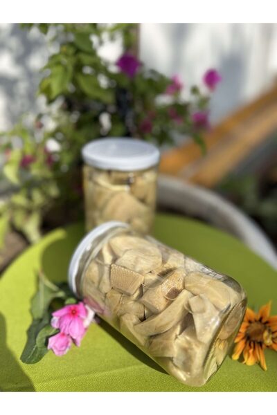 Aydın Enginar Köy Ürünleri 660 cc Yemeklik Doğranmış Çanak Enginar