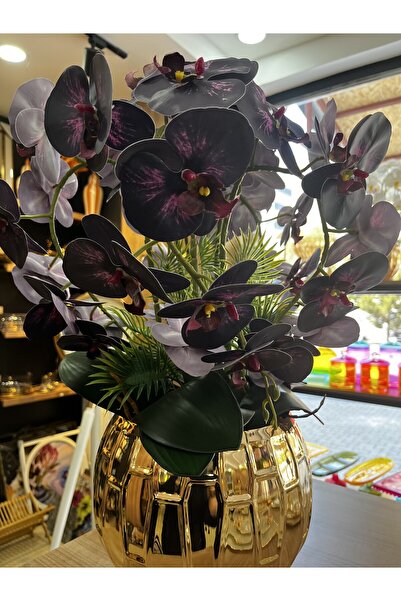 Home SAKSILI MOR ORKİDE ÇİÇEK