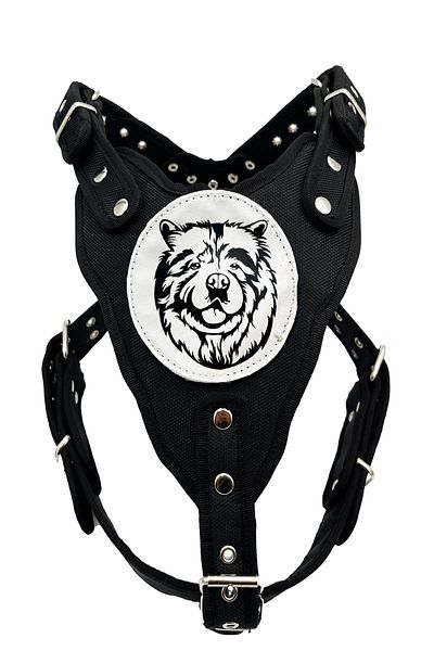 Tasma Market Chow Chow Chinese Lion Black Dog - Chest and Waist Collar