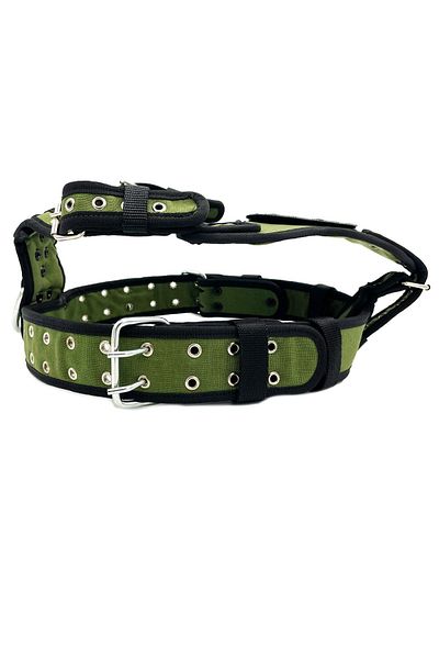 Tasma Market Premium Khaki Shiba Inu Dog Chest and Waist Collar