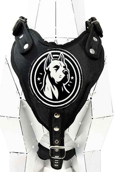 Tasma Market Premium BlacK DoGo ArGentino DoG Collar - Chest and Waist