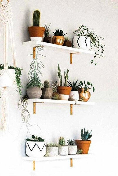 Ramazan Küçük Dekoratif Üçlü Duvar Rafı Metal Ayaklı Sukulent Çiçeklik