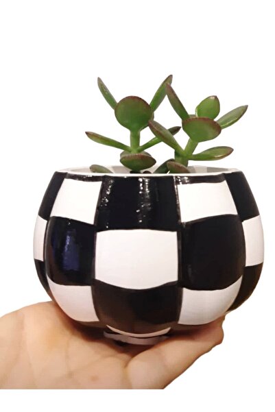 Dekoratif atölye Dama Kabak Saksı - El Boyama Beton Saksı - Kalemlik