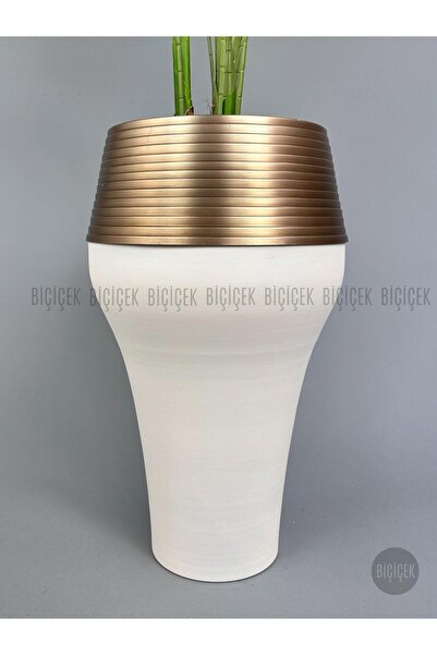 BİÇİÇEK 190 cm difenbahya bitkisi Cleopatra saksıda krem gold