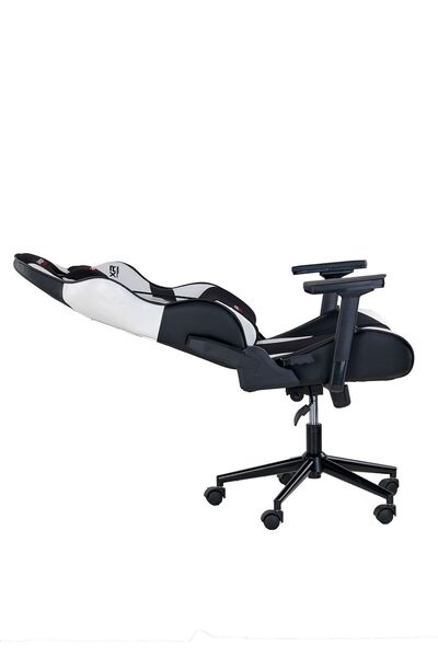 XRANCER Master Serisi Gaming Oyuncu Koltuğu