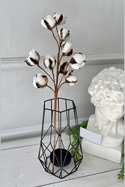 Yapay Çiçek Deposu Doğal 10lu Pamuk Çiçeği Dalı 57 Cm