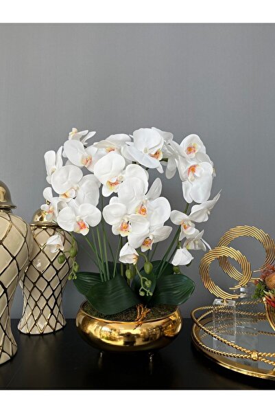 LİLOTEHOME 3 DAL LUXURY ISLAK ORKİDE ARANJMAN UFO MODEL SAKSIDA