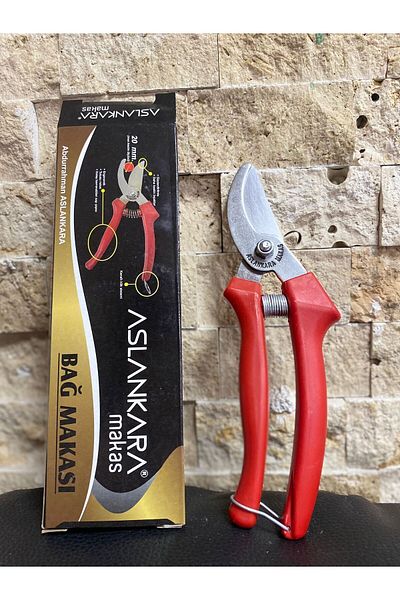 Aslankara Binding Scissors