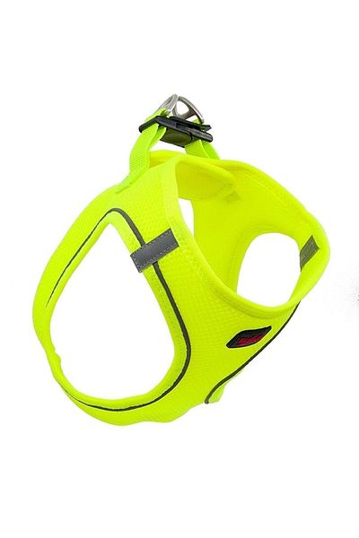 Tailpetz Neon Yellow Dog Collar