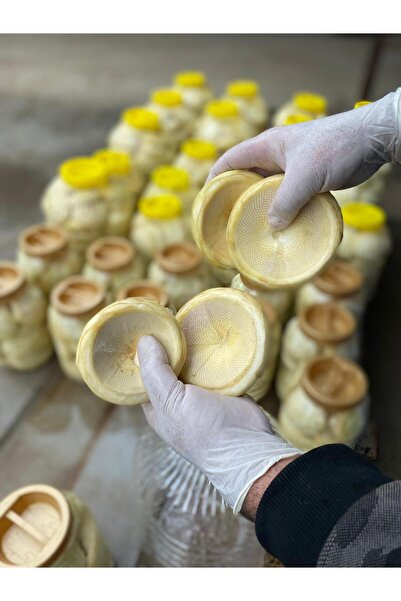 Aydın Enginar Köy Ürünleri 100 Adet Orta – Duble Boy Karışık Taze Çanak Enginar