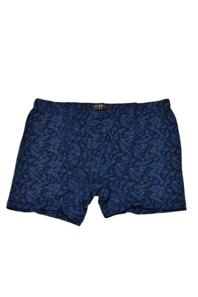 İki Yıldız Boxeri din Lycra pentru bărbați - imprimați, BGL-ST03866
