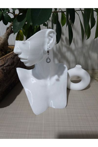 stainless steell Translucent Colored Drop Model Steel Earrings