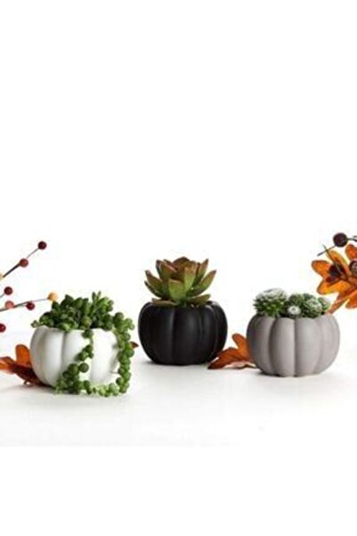 TrenDesign Beton Saksı Kaktüs Sukulent Saksısı