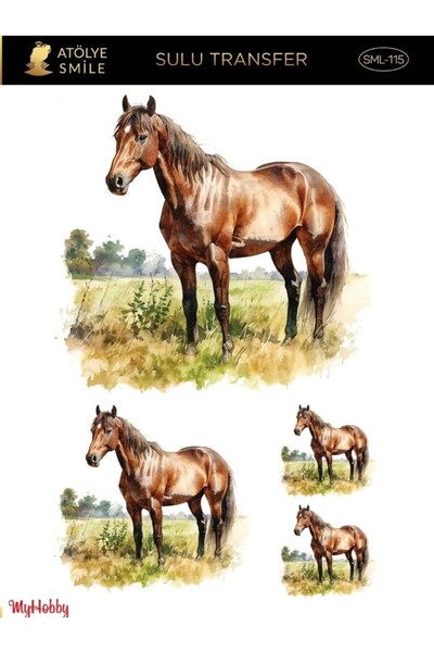 Genel Markalar SML 115 At Desenli Sulu Transfer 25x35