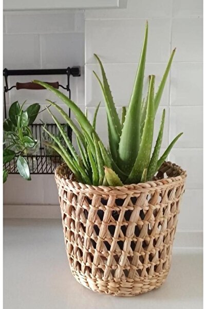 Süs Dükkanı Hasır Saksi Modeli Çap 21 Cm