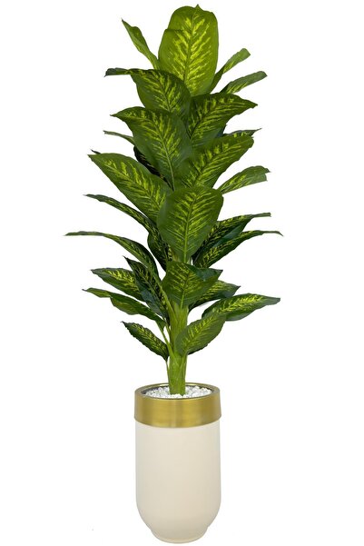 BİÇİÇEK Difenbahya 170cm metal krem gold darbuka saksıda