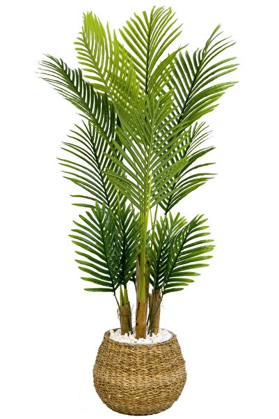 BİÇİÇEK Areka Palmiyesi 130cm geoit hasır saksıda
