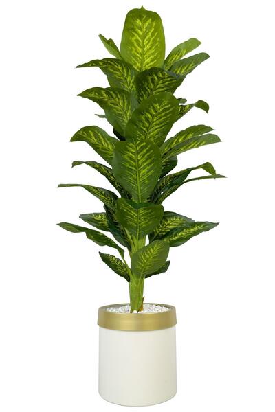 BİÇİÇEK Difenbahya Ağacı 160cm krem gold metal saksıda