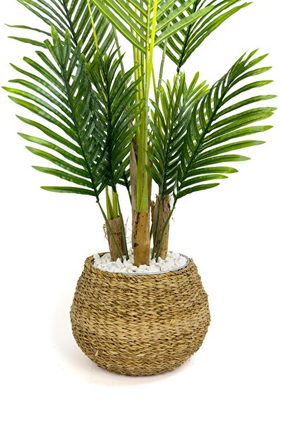 BİÇİÇEK Areka Palmiyesi 130cm geoit hasır saksıda