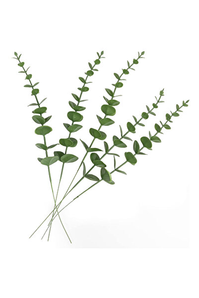 mutlu adım 5 bucăți de eucalipt verde cu o singură ramură - 21 cm