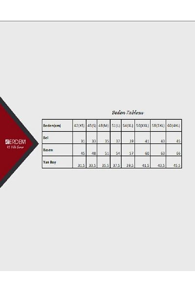 Erdem سراويل داخلية قطنية للرجال 1350 - 3 قطع
